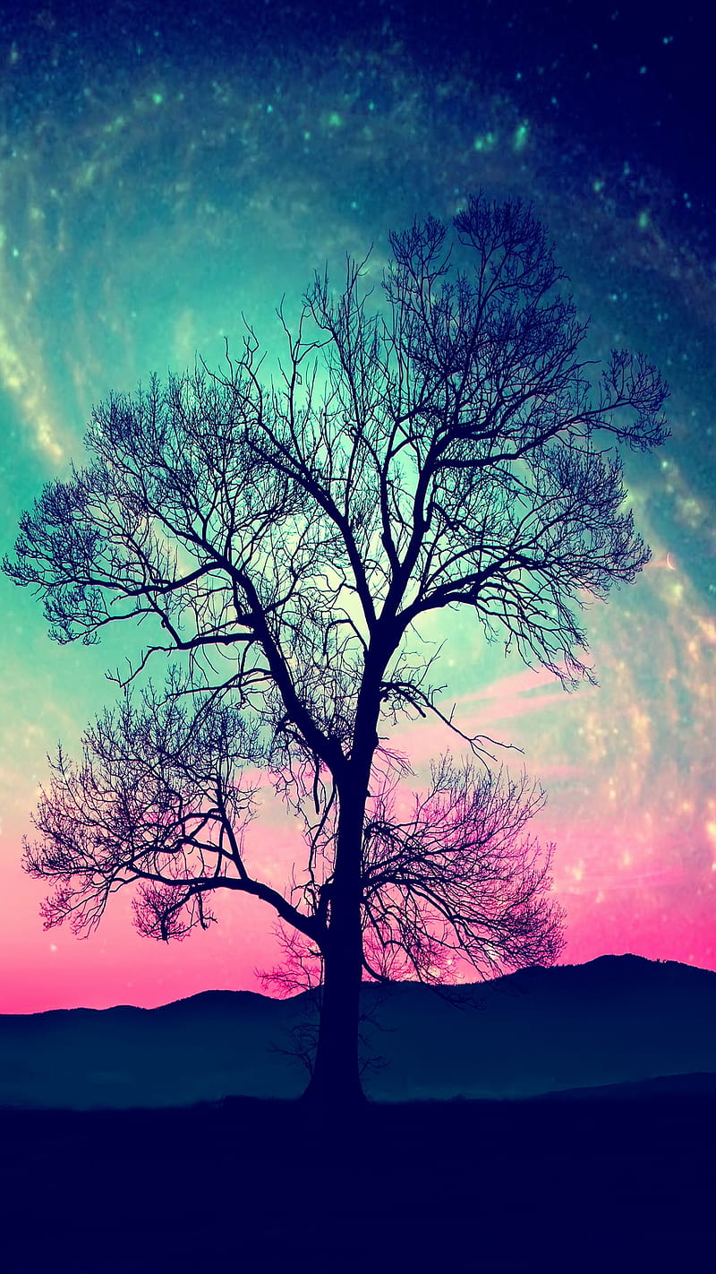 Tree, abstract, field, nature, night, HD phone wallpaper
