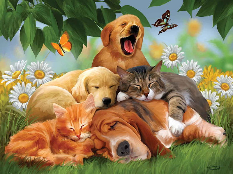 SLEEPY HEADS, heads, puzzle, jigsaw, pets, sleepy, HD wallpaper