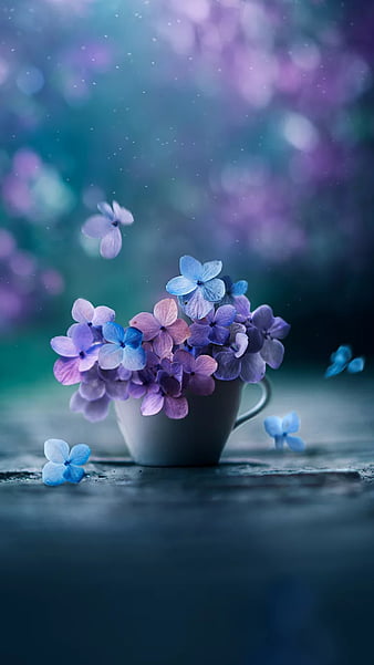 Flowers, blue, bouquet, natural, pink, purple, vase, HD mobile wallpaper