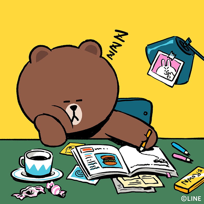 be lazy, bear, cute, home wark, lazy bear, line friends, HD phone wallpaper
