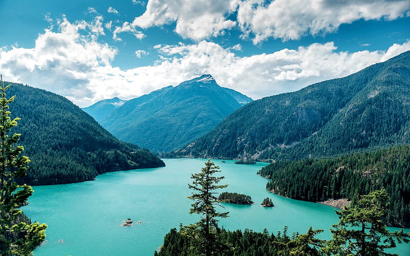 mountain, forest, lake, mountain landscape, Ross Lake, Washington, USA, HD wallpaper