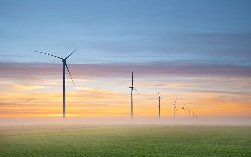 Wind Turbines in Netherlands, mist, Netherlands, wind turbines, field, HD wallpaper