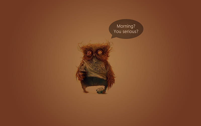 Owl, morning?you serious?, artwork, Others, HD wallpaper | Peakpx