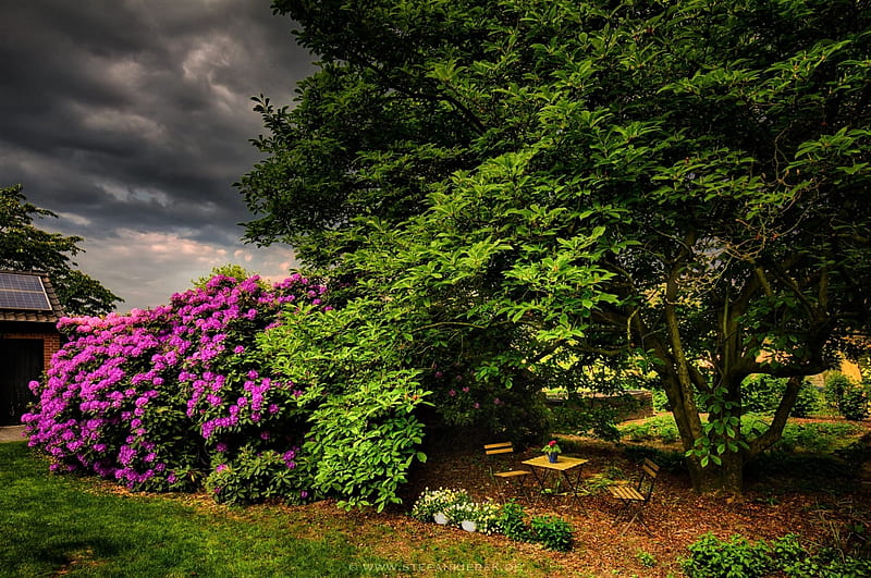 Home Garden on a Cloudy Day, Landscape, Trees, Sky, Clouds, Gardens, Flowers, Nature, HD wallpaper Home Garden on a Cloudy Day, Landscape, Trees, Sky, Clouds, Gardens, Flowers, Nature, HD wallpaper