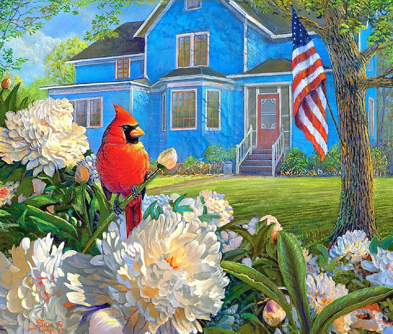 Red White & Blue Visitor, lawn, nature, houses, love four seasons, colors, birds, attractions in dreams, flag of America, paintings, summer, flowers, garden, cardinal, HD wallpaper