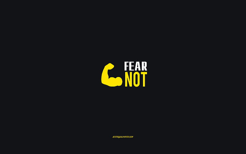 Fear not, gray background, motivation minimalism , inspiration, Fear not concepts, HD wallpaper