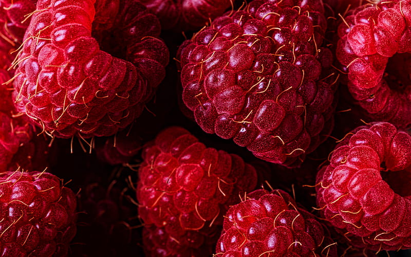 raspberry macro, berries, fresh fruits, fresh raspberry, fruits, HD wallpaper