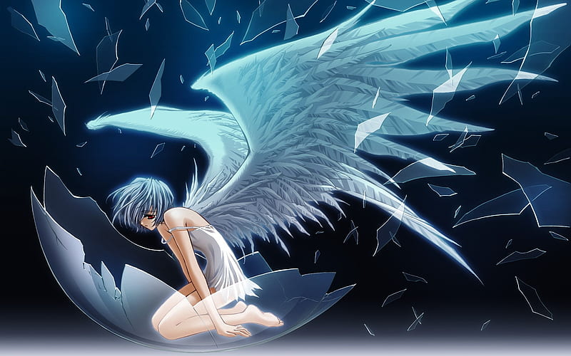 Evangelion - Rei, female, wings, black, evangelion, hair, glass, egg, girl, rei, shell, anime, dark, shatter, blue, HD wallpaper