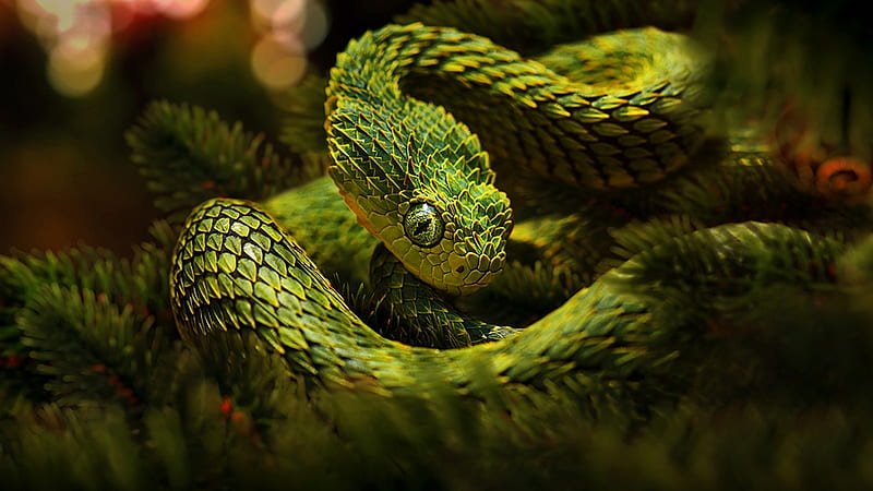 coniferous snake, bokeh, 3D, Needles, branches, abstract, snake, spruce, HD wallpaper