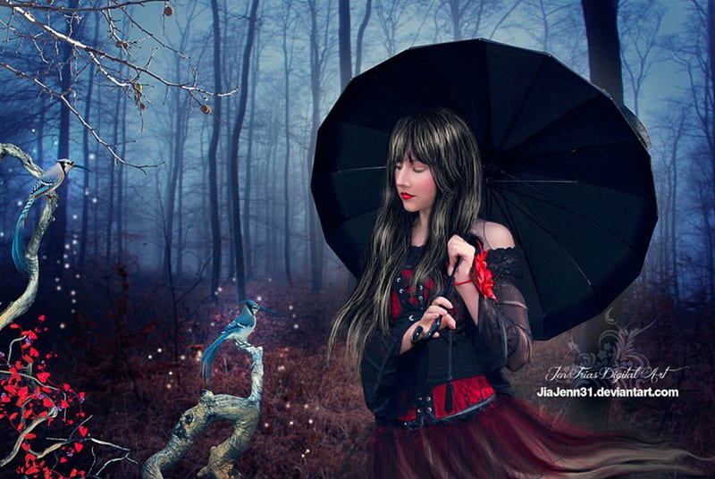 Magic Blue Jay, umbrella, bluejay, fantasy, lady, HD wallpaper