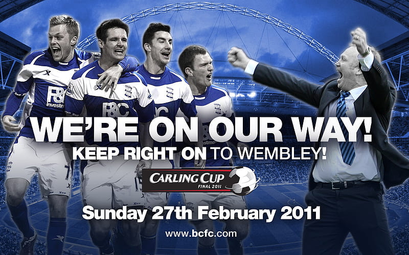 Premier League - Birmingham City 2010-11 season 02, HD wallpaper