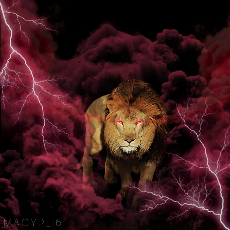 The Most Edited #peligroso, Lightning Lion, HD phone wallpaper