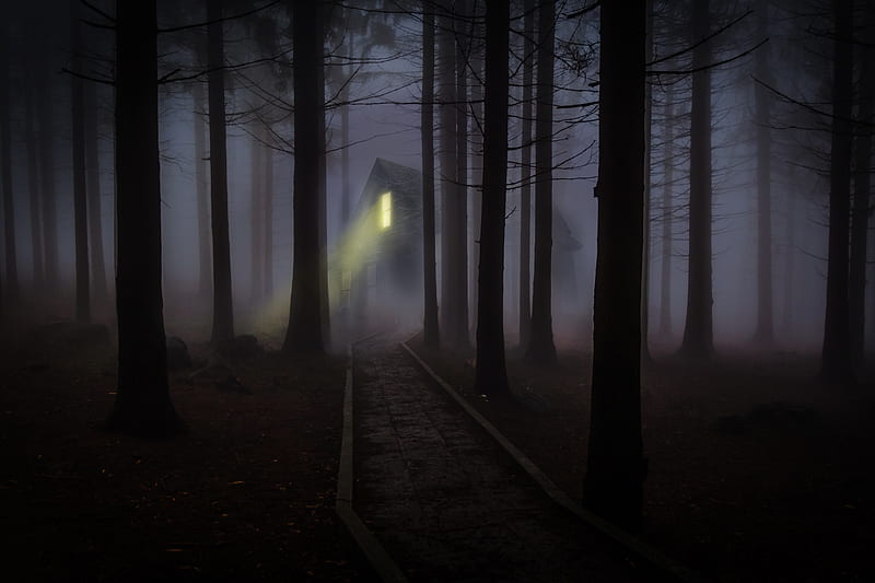 dark forest, scary, light, house, fog, Fantasy, HD wallpaper