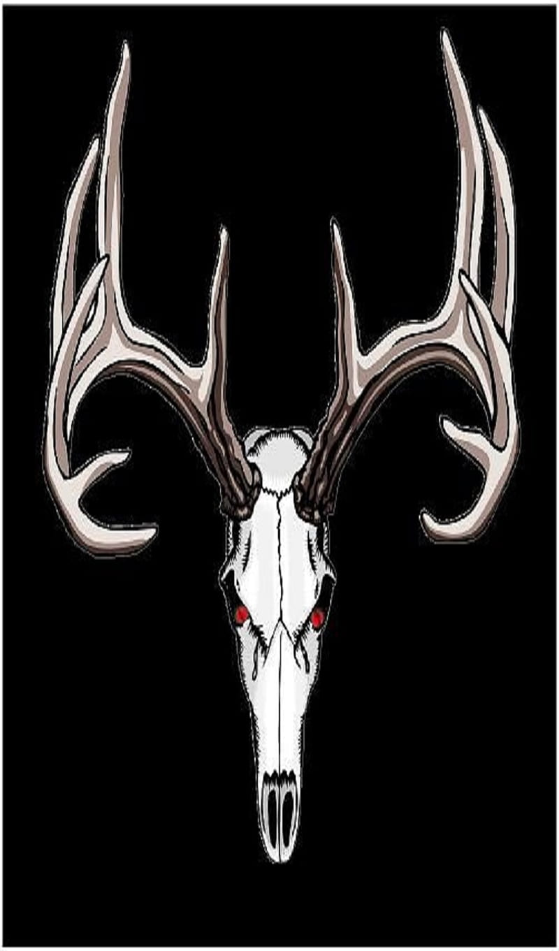 buck antlers, buxk, deer, skull, HD phone wallpaper
