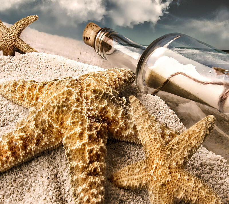Sea Shells , 2013, beach, bottle, message, ocean, star, sunset, HD wallpaper
