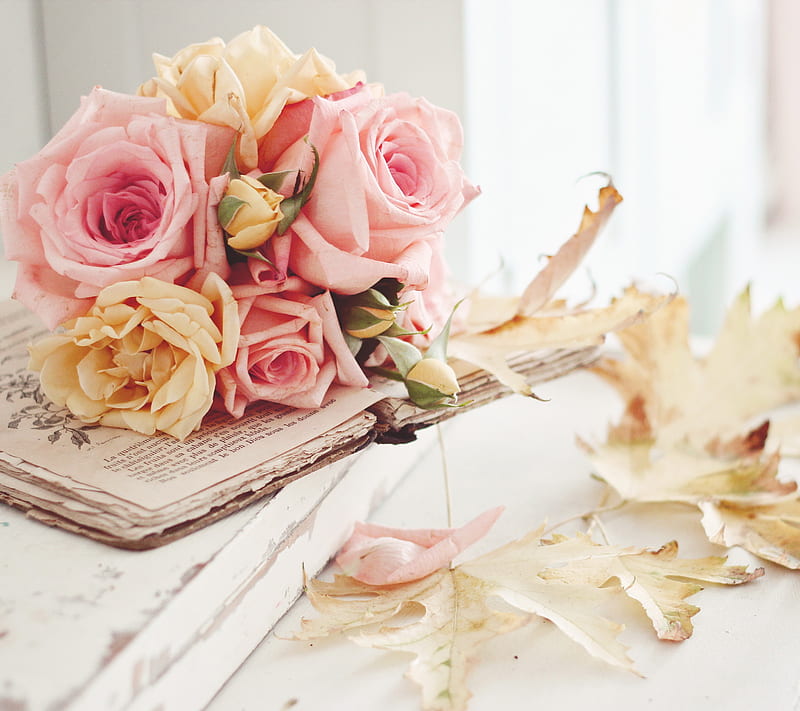 Vintage Roses, background, flowers, petals, pink, HD wallpaper
