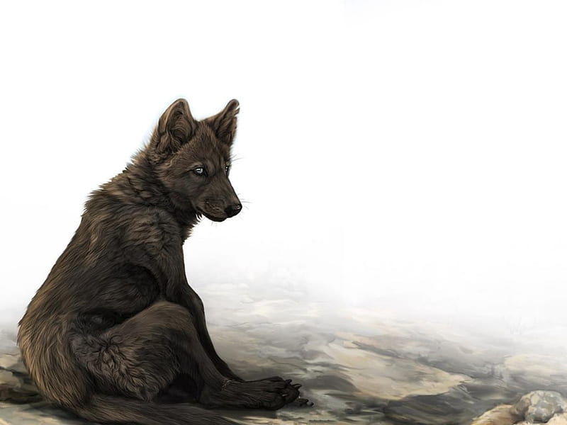 wolf pup sitting