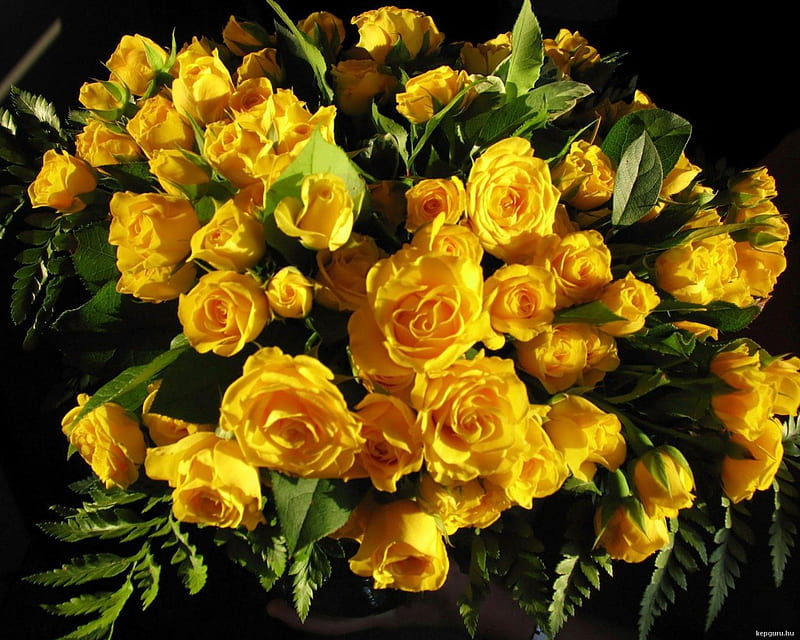 Beuatiful Bouquet, Yellow, Roses, Flowers, Nature, HD wallpaper