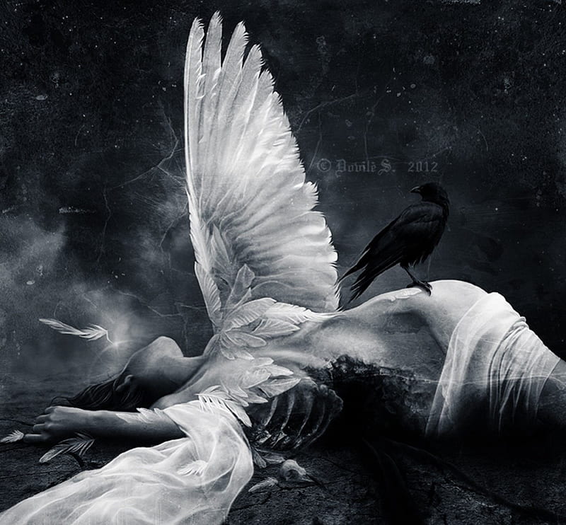 Where dead angels lie, pretty, death, cold, fallen, fantasy darkness, frost, night, art, wings, raven, sadness, angel, black, abstract, winter, goth, alone, dark, crow, HD wallpaper