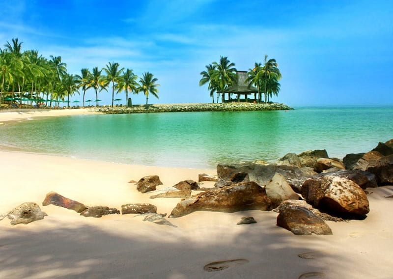 Kota Kinabalu Beach, white sand, rocks, travel, bonito, palm trees, sea, beach, paradise, Indonesia, summer, Borneo, tropical, HD wallpaper