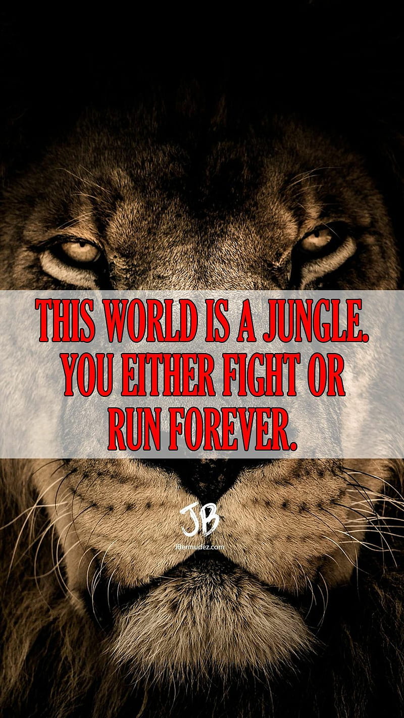 Fight Or Run, lion, motivation, motivational, quotes, HD phone wallpaper