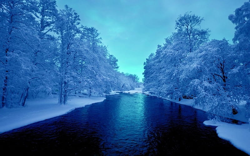 Winter River, river, trees, blue, winter, HD wallpaper | Peakpx