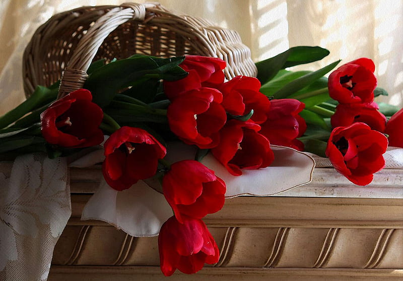 Red Tulips, with love, pretty, wonderful, sweet, nice, love, flowers, beauty, tulips, morning, table, lovely, romance, red tulip, white, red, home, bonito, still life, graphy, green, room, for you, light, tulip, window, romantic, sunlight, colors, bouquet, basket, nature, HD wallpaper