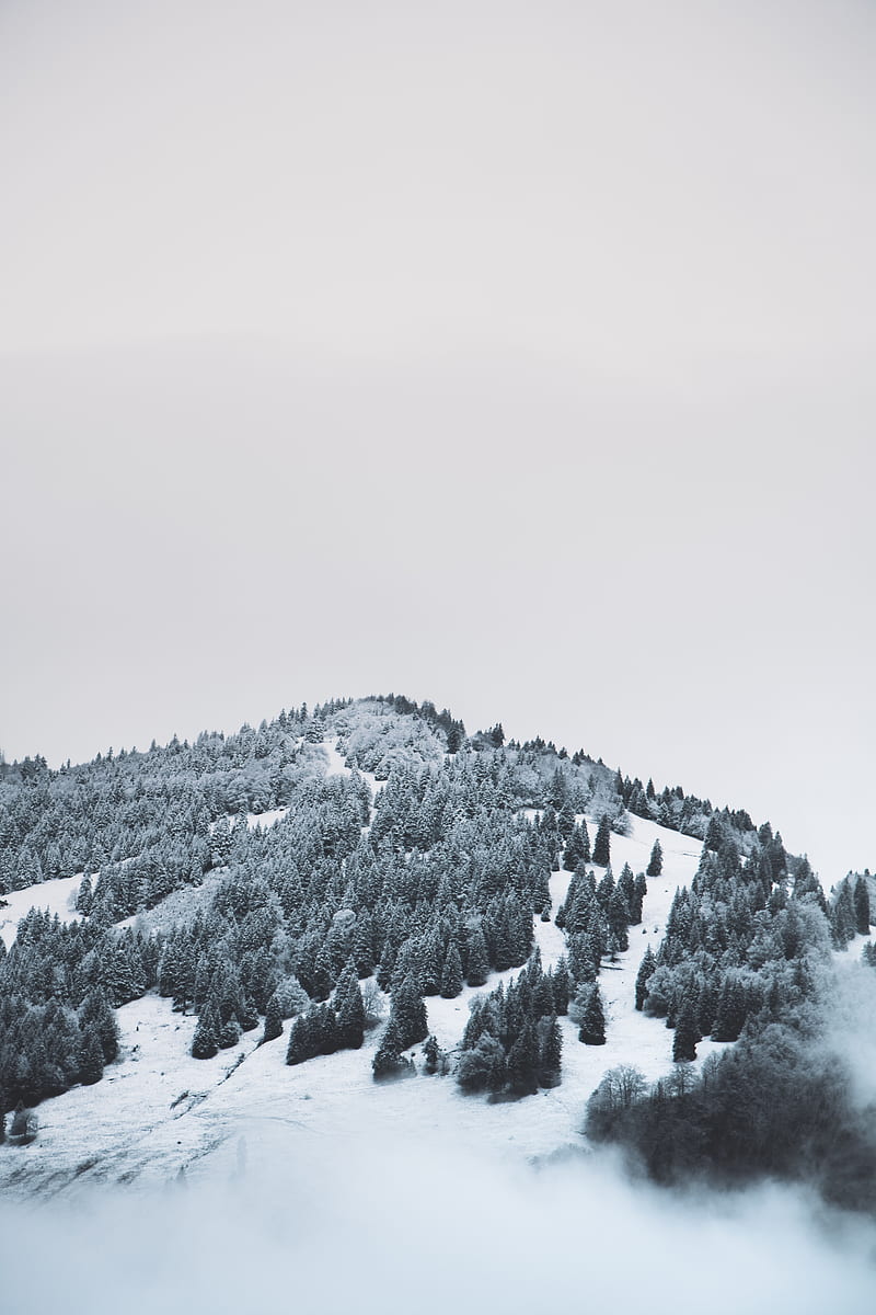 mountain, trees, snow, hill, fog, HD phone wallpaper