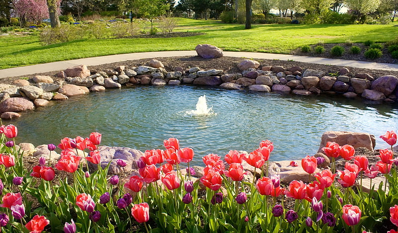 Spring garden, pretty, fountain, lovely, grass, bonito, spring, park, freshness, water, flowers, garden, nature, HD wallpaper