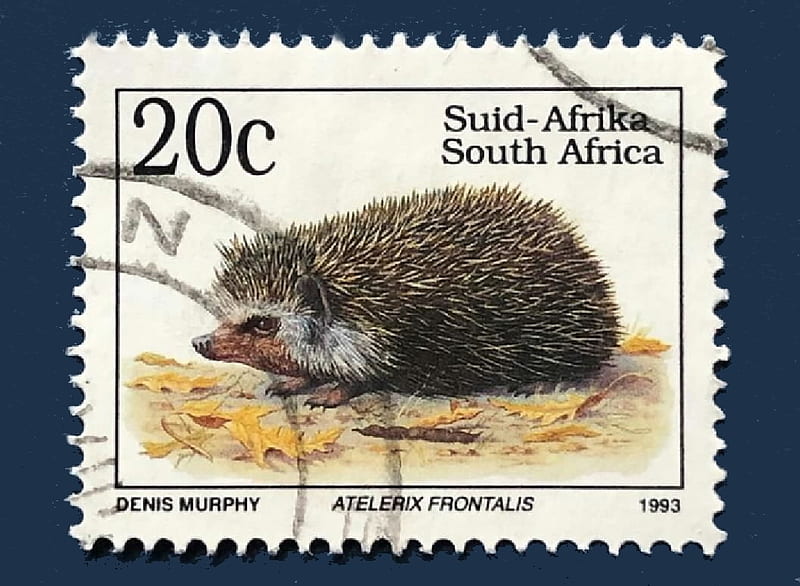 South Africa postage stamp, Philately, Stamps, Mammamls, South Africa, HD wallpaper