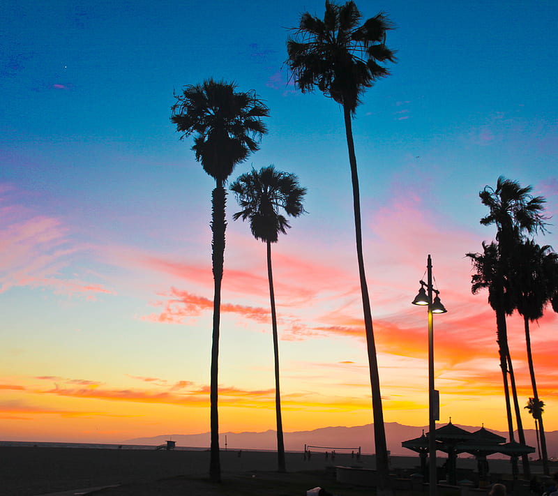 Palm Trees, cali, california, colors, love, sky, summer, HD wallpaper ...