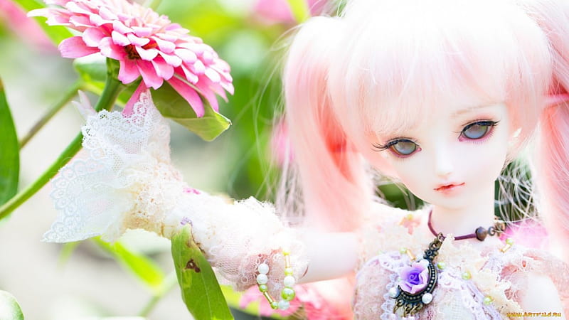 flower mood, flower, garden, doll, pink, HD wallpaper