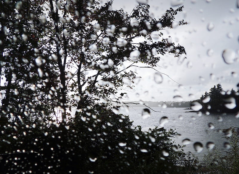 Raining On Eels Lake, Trees, Sky, Summer, Eels Lake, graphy, Raindrops, Nature, Raining, HD wallpaper