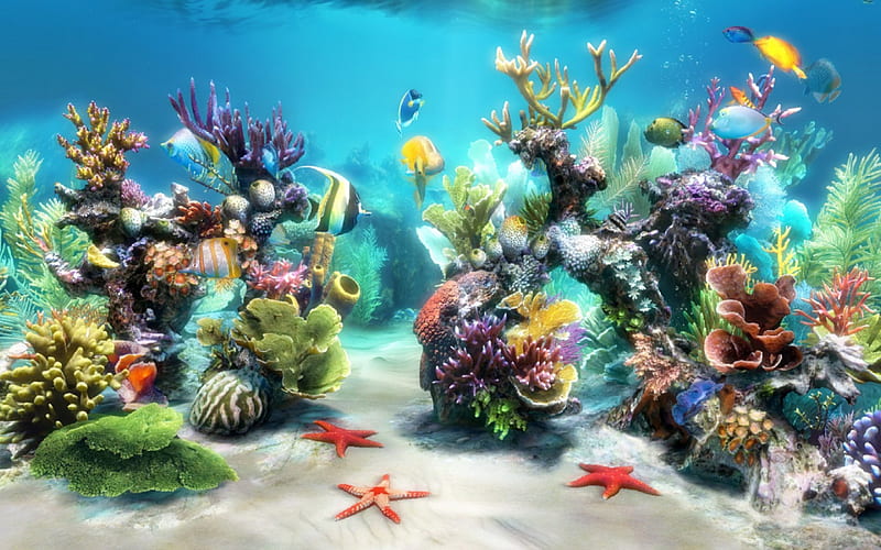 Ocean Life, fish, ocean, yellow, coral, starfish, sand, water, green, purple, nature, sealife, blue, HD wallpaper