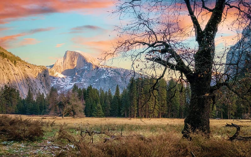 Last light on Half Dome, Yosemite, California, sunset, trees, clouds, colors, sky, rocks, usa, HD wallpaper