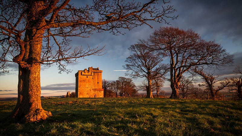 unique clackmannan tower in scotland, fields, stones, trees, tower, HD wallpaper