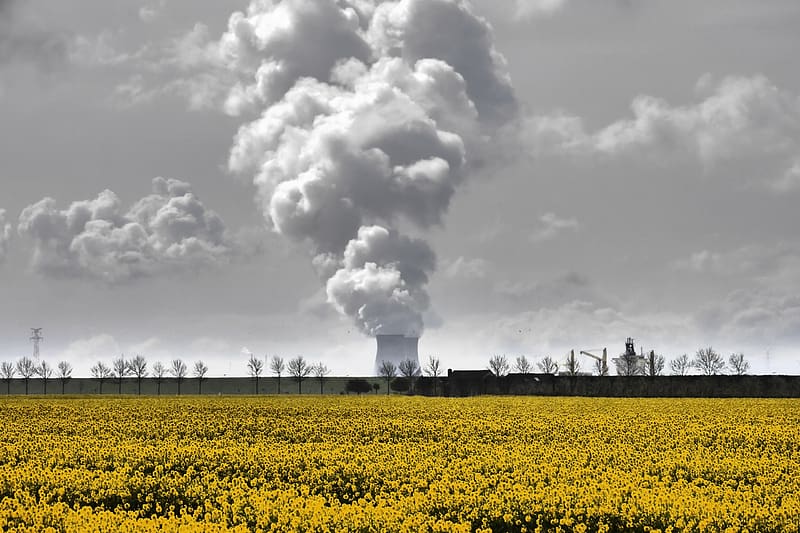 Sky, Smoke, Field, Yellow Flower, , Power Plant, Nuclear Plant, HD wallpaper