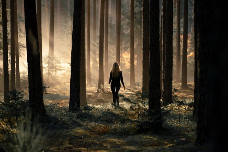 Girl Walking In Dark Forest Fantasy Girl Dark Sunlight Forests Hd