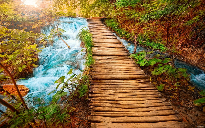 Path Across the River, river, nature, WALK, wooden, path, HD wallpaper