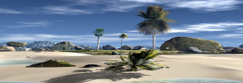 Island, ecosystems, trees, palms, sea, sand, water, beaches, shadows, nature, tropics, HD wallpaper