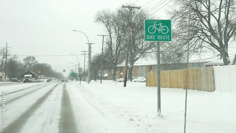 Winter Bike Route....?, fence, bicycle route, snow, traffic signals nsigns, bike route, cycle, trees, winter, HD wallpaper