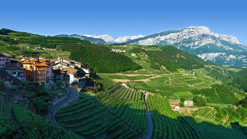 small mountainside village, slope, village, vineyards, mountains, HD wallpaper