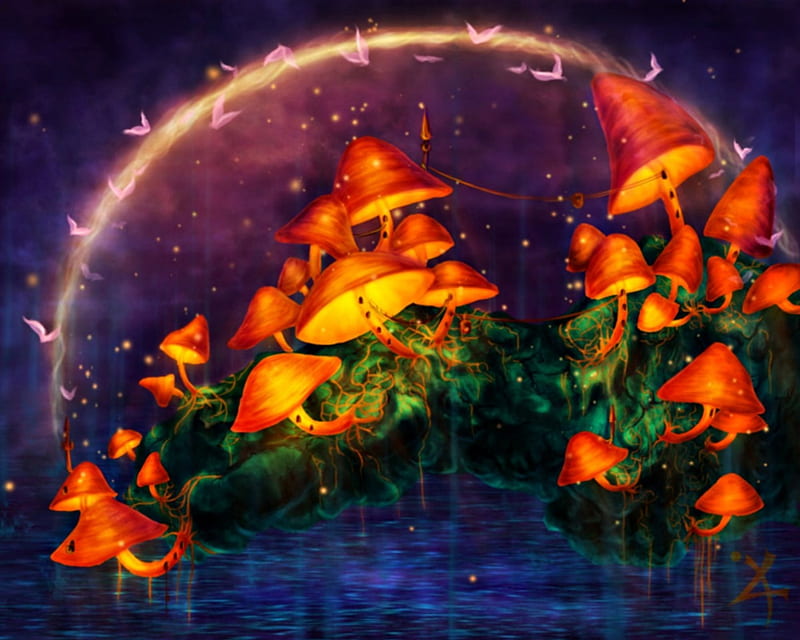 Mushrooms, red, luminos, orange, fantasy, purple, qi-art, blue, night, HD wallpaper