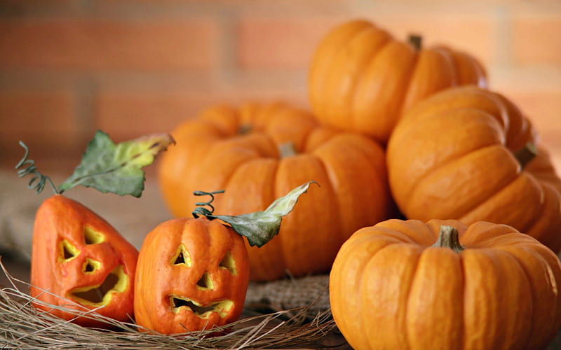 Happy Halloween!, autumn, orange, halloween, pumpkin, toamna, face, Koki Iino, HD wallpaper