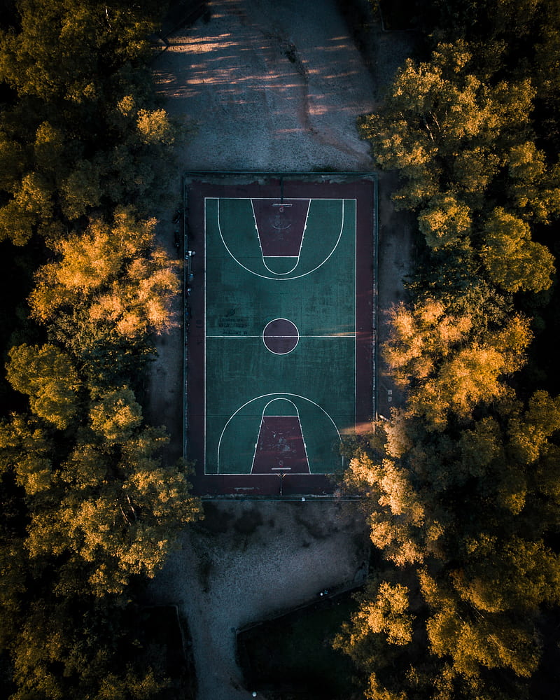 Basketball court, trees, aerial view