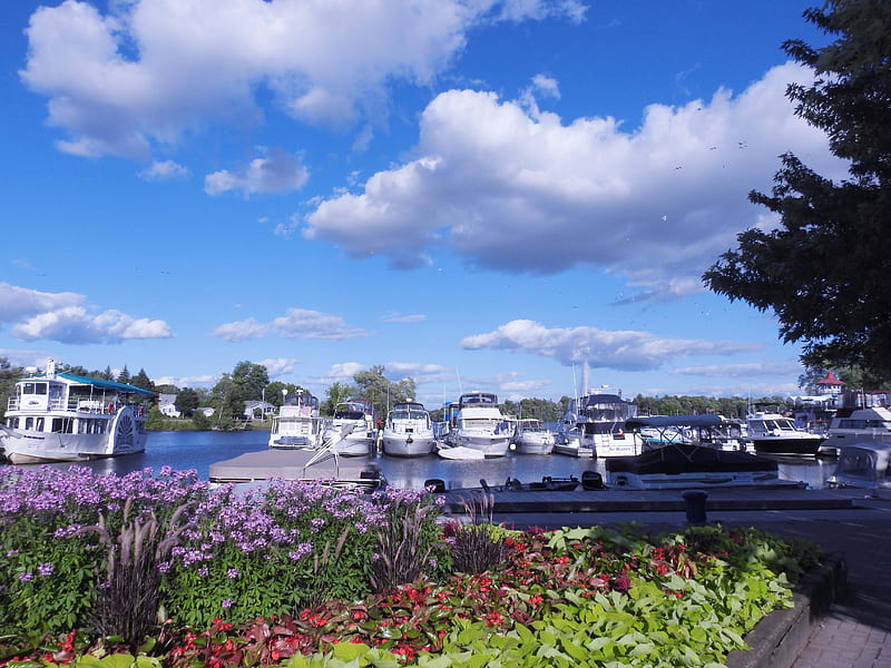 Boats On Little Lake, Sky, Clouds, Lake, graphy, Boats, Flowers, HD wallpaper