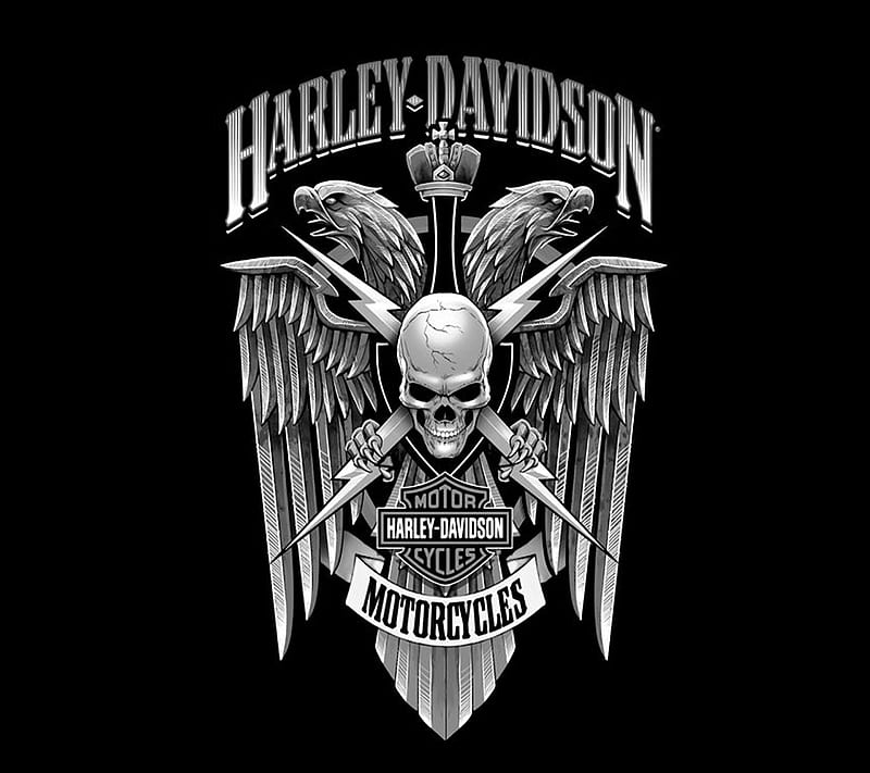 Harley Skull Logo, bike, dom, harley davidson, icon, meaning, motorcycle,  ride, HD wallpaper | Peakpx