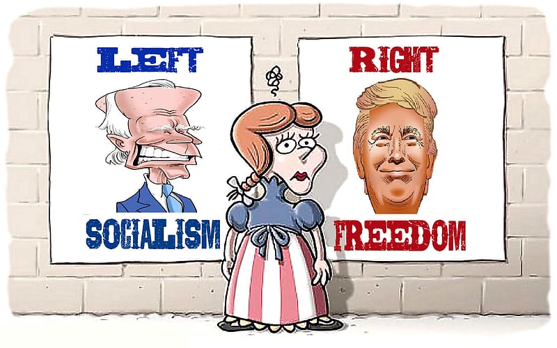 Left or Right, dom, biden, TRUMP, liberty, HD wallpaper