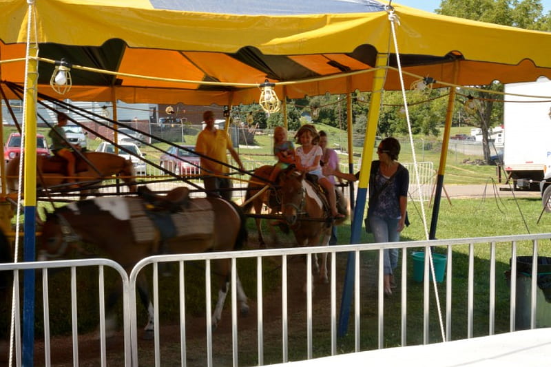 Pony Ride time, fun park, pony ride, ponies, kid ride, horses, HD wallpaper