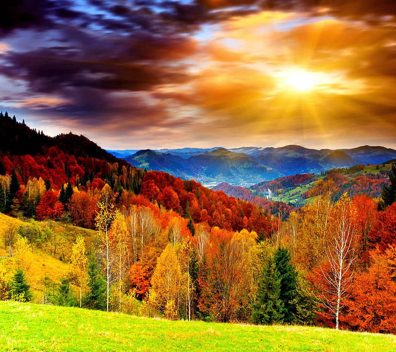 Colorful Nature, look, nice, HD wallpaper | Peakpx